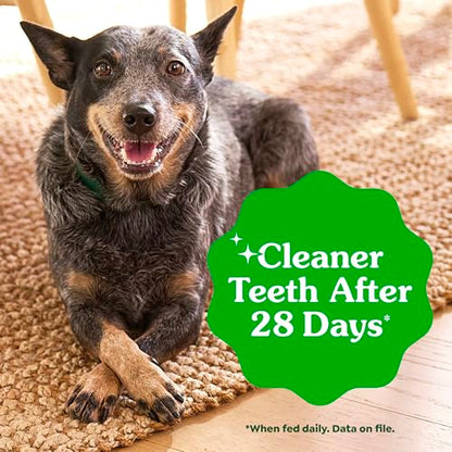 Greenies Veterinarian-Recommended Adult Natural Dental Dog Treats Large Size, Dog Dental Chews, Original Flavor, 6 oz. Pack, 4 Count - size: 4 Count (Pack of 1)