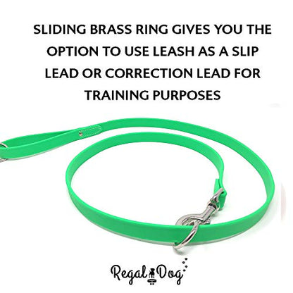 Regal Dog Products Waterproof Leash – 5 ft. Green Dog Leash with Easy to Use Collar Hook, Lightweight, and Proof Training Pet Lead with Vinyl-Coated Webbing for Small, Medium, Large, or XL Dogs - color: Green