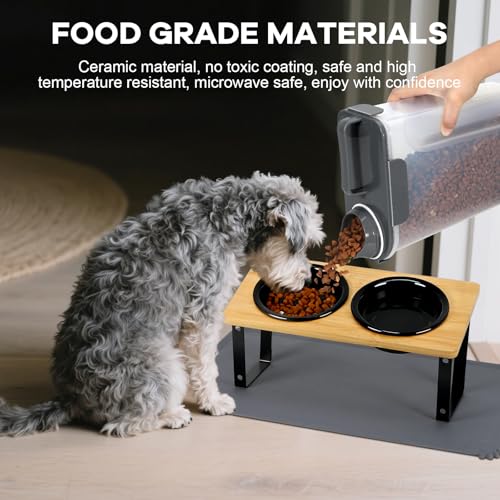 LEAWALK Upgraded Adjustable Height Cat Food Bowls Stand Ceramic Dog Bowls and Slow Feeder Cat Bowl, 15°Tilted Stand Anti Vomiting Raised for Small and Medium Sized Cats Dogs (Black (2 Bowl+Pet mat)) - color: Black ( 2 Bowl+Pet mat)
