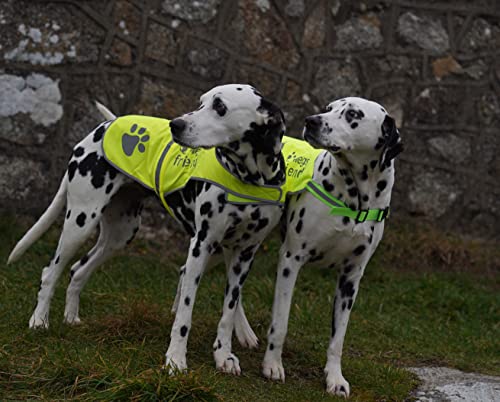 Safety Reflective Vest for Dogs - High Visibility for Outdoor Activity Day and Night, Protect Your Pet from Cars & Hunting Accidents - size: S
