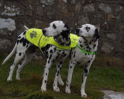 Safety Reflective Vest for Dogs - High Visibility for Outdoor Activity Day and Night, Protect Your Pet from Cars & Hunting Accidents - size: S