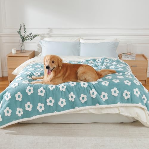 Luciphia Waterproof Pet Blanket for Medium Large Dogs Washable Fluffy Thick Jacquard Shag Fleece Warm Sherpa 3D Textured Flower Print for Cats Puppy Couch Protection (Blue,85x57 inches) - color: Blue, size: 85x57 inches