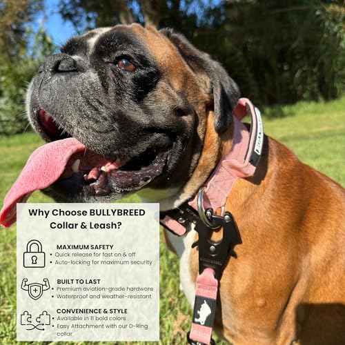 BULLYBREED | Heavy Duty Dog Leash, Tactical Dog Leash, Quick Release Frog Clip with Anti-Tangling Swivel System for Large Dogs that Pull with Soft Double Handles (5 FT Long, Pink) - color: Light Pink Double Handle