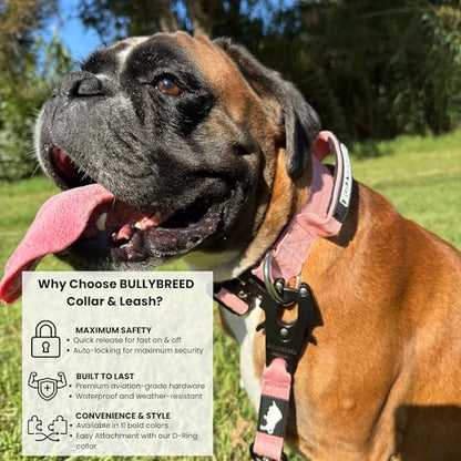 BULLYBREED | Heavy Duty Dog Leash, Tactical Dog Leash, Quick Release Frog Clip with Anti-Tangling Swivel System for Large Dogs that Pull with Soft Double Handles (5 FT Long, Pink) - color: Light Pink Double Handle