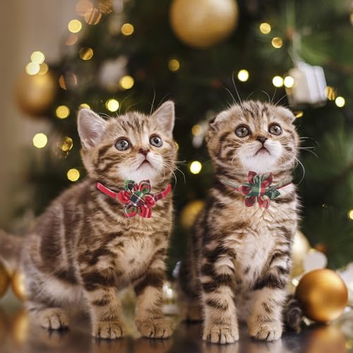ADOGGYGO Christmas Cat Collar with Floral, 2 Pack Xmas Kitten Flower Collar, Red Green Plaid Christmas Collars for Cat Kitten - color: Christmas