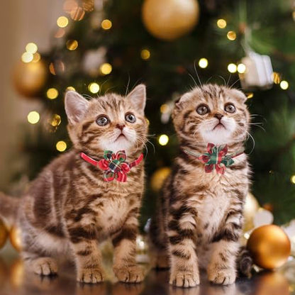 ADOGGYGO Christmas Cat Collar with Floral, 2 Pack Xmas Kitten Flower Collar, Red Green Plaid Christmas Collars for Cat Kitten - color: Christmas