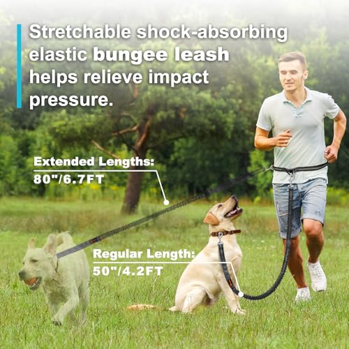 Laqibak Hands Free Dog Leash, Adjustable Waist Leash for Dog Walking, Dual Bungee 4.2-6.7 Feet Long with Reflective Stitches for Walking Hiking Running, Fits 26"- 43" Inch Waist, Black - color: Black