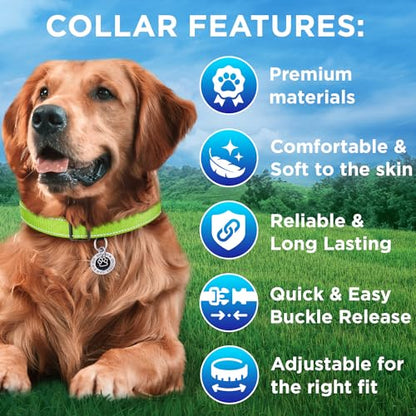 TECEUM Reflective Dog Collar – Acid Green – L – Extra Soft Padding – Basic Nylon Pet Collar – Quick Release Buckle – Fits Small, Medium and Large Dogs, Puppies, Cats – ESA & Service Dog Options - color: Acid Green, size: Large