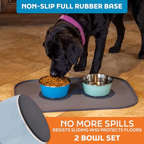 Master Pet Supply Stainless Steel Dog Bowls Set of 2 (32 Oz Each) with Non-Slip Rubber Base - Glacier Blue - Basic Dog Food Bowl Water & Food Bowls for Small Medium Large Dogs & Cats, Metal Dish - color: Glacier Blue, size: 4 Cups (32 oz) 2 Pack