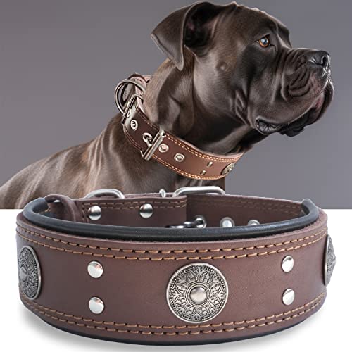 Leather Dog Collar, 2 inches Wide Heavy Duty Genuine Leather Collars, Handmade, Soft, and Luxury, Eye-catching Best Choice for Large and Medium Breed Dogs, Brown 21-25 in - color: Brown, size: 21-25 in
