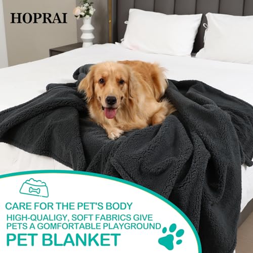 Waterproof Pet Blanket for Medium Large Dogs Washable Fluffy Thick Jacquard Shag Fleece Warm Sherpa Pet Blanket Cats Puppy Couch Protection (Gray L57*65inches) - color: Gray, size: 57*65
