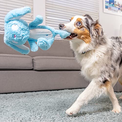 Huxley & Kent Slappies for Dogs | Betty Bunny (Small) | Squeak & Shake Dog Toy | No Stuff Squeaky Toy, TPR Ball in Head | Simulates Hunting Nature for Dogs - size: Small, style: Betty Bunny