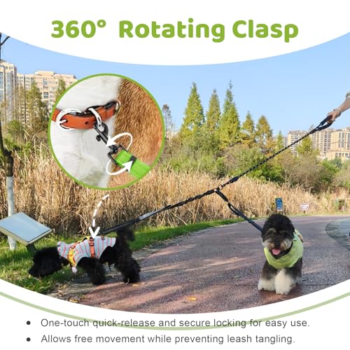 Double Dog Leash - No Tangle Splitter for Two Dogs, Coupler with Adjustable Long Lead Rope, Dual Control Handles, Retractable No Pull Bungee, Walk Train Small Medium Large 2 Pets (Green) - color: Green