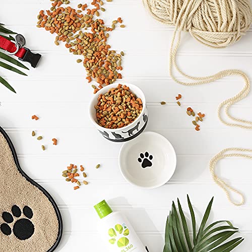 Bone Dry Ceramic Cat Bowls, Microwave & Dishwasher Safe, Small Set, 4.25x2, Black/White, 2 Count - color: Black/White, size: Small Set, 4.25x2"