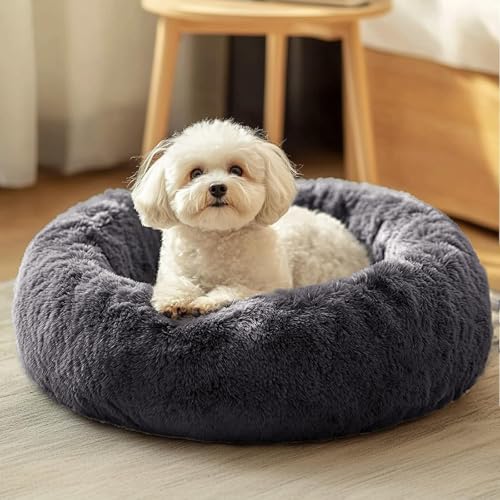JOLLYVOGUE Dog & Cat Bed, Calming Anti-Anxiety Pet Bed for Small Dogs, Fluffy Donut Cushion for Small and Medium Pets (20") - color: Dark Grey, size: 20"