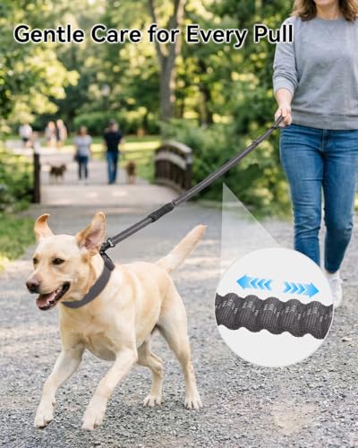 Joytale Tactical Dog Leash Heavy Duty, 4-6FT Shock Absorbing Bungee Lead with 2 Padded Handle, Metal Carabiner Clip, Car Seatbelt, Strong No Pull Leash for Medium Large X-Large Dogs, Gray - color: Gray