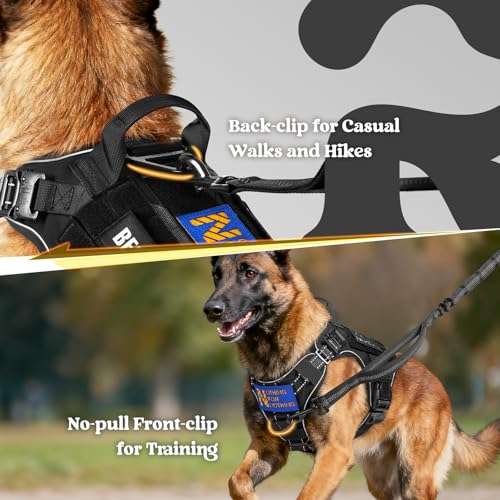 rabbitgoo Tactical Dog Harness Medium Sized, No Pull Upgraded Reflective Heavy Duty Molle Vest with Handle, Adjustable Military Service Dog Vest for Walking Hiking Training, Black, M - color: Black Reflective, size: Medium