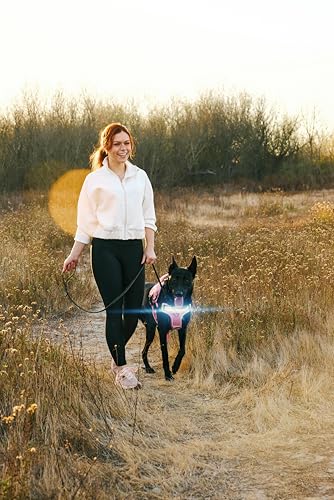 Lumi One LED Dog Harness for Night Visibility and Safety, Patent Pending – Light-Up Dog Vest, Reflective, Adjustable, Rechargeable, Durable, High-Visibility Pet Gear (Pink, Medium) - color: Pink, size: Medium