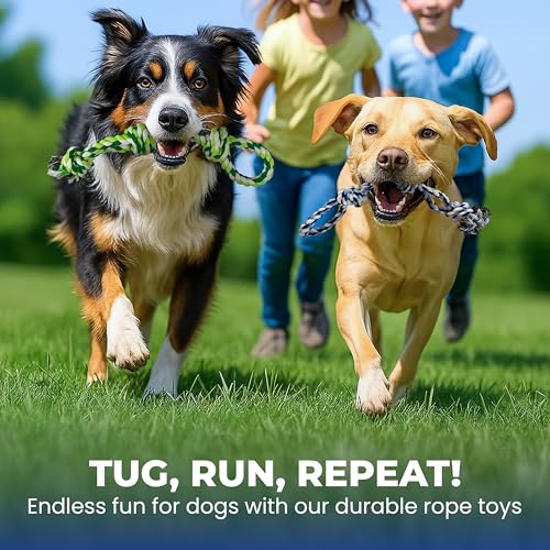Dog Rope Toys, Heavy Duty Chew Toy for Large Dogs, 2-Pack Durable Tug of War Toys, 100% Cotton, Safe & Washable, Great for Teeth Cleaning, (Blue/White and Green/White/Green) - color: blue/white and green/white/green