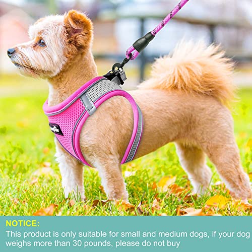 haapaw Dog Harness with Leash Set, No Pull Adjustable Reflective Step-in Puppy Harness with Thickened Padded Vest for Extra-Small/Small Medium Dogs - color: Grey / Pink, size: S