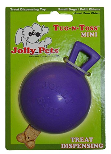 Jolly Pets Tug-n-Toss Heavy Duty Dog Toy Ball with Handle, 4 Inches/Petite, Purple (404 PR) - color: Purple, size: 4 inches/Petite