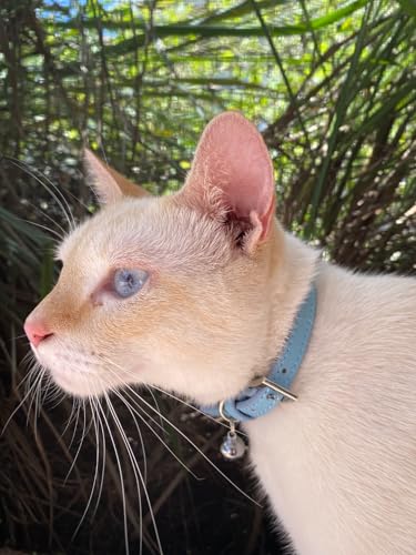 PUPTECK 2 PCS Soft Genuine Leather Cat Kitten Collar with Bells Adjustable for Girl Boy Cats Puppy - Pink, Blue - color: Pink&Blue