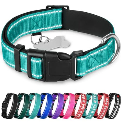 TECEUM Reflective Dog Collar – Aquamarine – M – Extra Soft Padding – Basic Nylon Pet Collar – Quick Release Buckle – Fits Small, Medium and Large Dogs, Puppies, Cats – ESA & Service Dog Options - color: Aquamarine, size: Medium