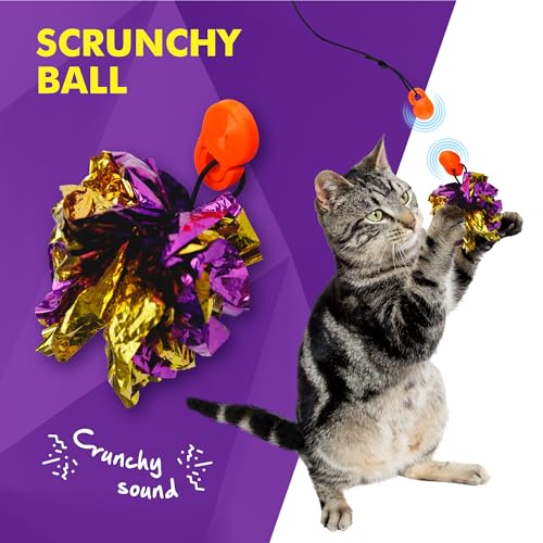 Cat Amazing Snatch Pack - 5 Magnetic Attachments for The Snatch Magnetic Wand Toy - Catnip Mouse, Rattle Snake, Crinkle Fish, Scrunchy Ball and Feather - Cat Teaser Toys - Really Catch! - style: Snatch Pack - 5 Attachments