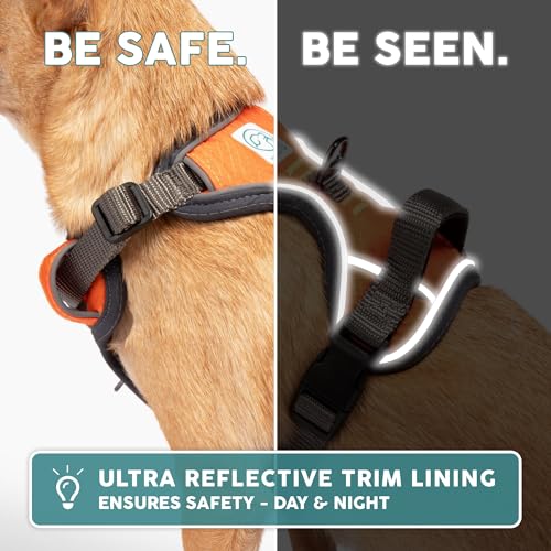 Embark Adventure Small Dog Harness – No-Pull, Reflective Trim, Military-Grade Nylon, Front Clip with Gel-Lined Handle - color: Orange, size: S