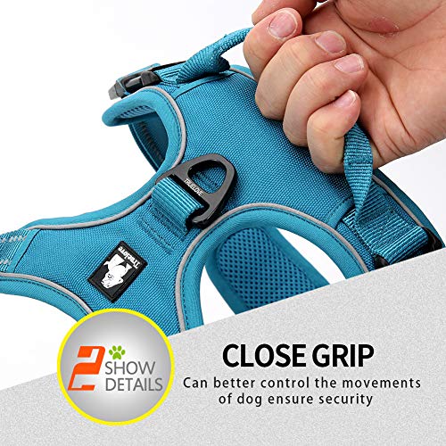 JUXZH Truelove No Pull Dog Harness with Easy Control Handle and 2 Leash Attachments,Reflective Adjustable Pet Vest - color: Teal Blue, size: X-small (Pack of 1)