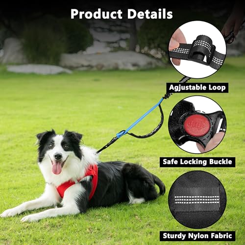Hands Free Dog Leash with Zipper Pouch, Running Waist Leash for Dog Walking, Adjustable Waist Belt for Large Dogs, Reflective Bungee Design with Two Handle for Hiking,Training, Black - color: Black