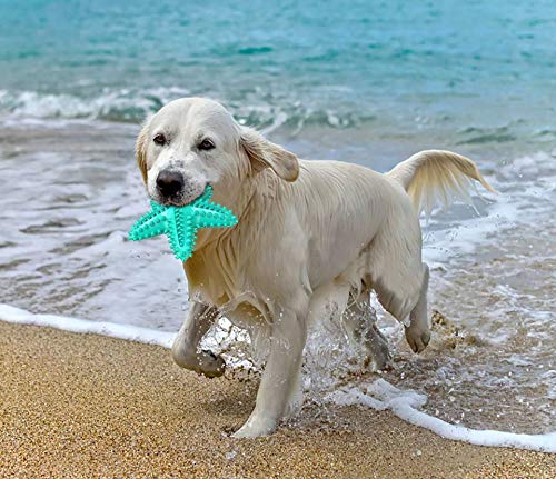 Squeaky Chew Toy - Starfish Water Floating Toy for Dogs, Natural Tooth Brush Teeth Cleaning for Small Medium Dogs - Blue - color: Starfish Blue