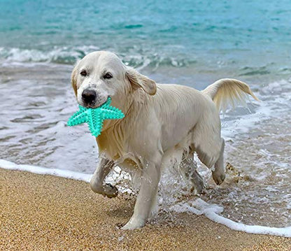 Squeaky Chew Toy - Starfish Water Floating Toy for Dogs, Natural Tooth Brush Teeth Cleaning for Small Medium Dogs - Blue - color: Starfish Blue