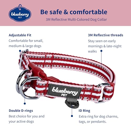 Blueberry Pet Safety Dog Collar with Dual D-Rings | 3M Reflective Multi-Colored Adjustable Collar in Marsala Red and Pink | Soft Nylon Dog Collar for Active Small Dogs