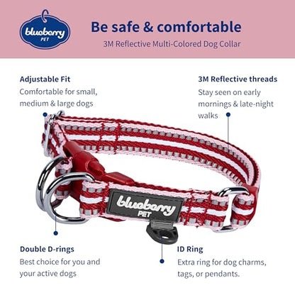 Blueberry Pet Safety Dog Collar with Dual D-Rings | 3M Reflective Multi-Colored Adjustable Collar in Marsala Red and Pink | Soft Nylon Dog Collar for Active Small Dogs