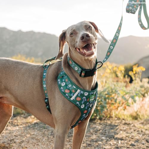 Lucy & Co. x Parks Project Power to the Parks No-Pull Dog Harness, Adjustable Front Clip Harness with Comfort Padding, Small - color: Power to the Parks, size: Small
