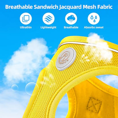 Soft Mesh Dog Harness and Leash Set, No Pull Puppy Harness and Leash Set, Reflective Step in Harness for Small Medium Dogs, Easy Walk Escape Proof Vest Harnesses (Yellow, L) - color: Yellow, size: L