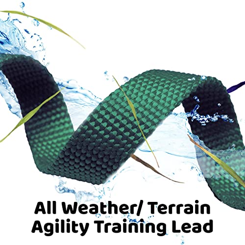 Downtown Pet Supply - Long Dog Training Leash for Recall & Obedience - Nylon, 30 ft, Hunter Green - color: Hunter Green, size: 30 Foot