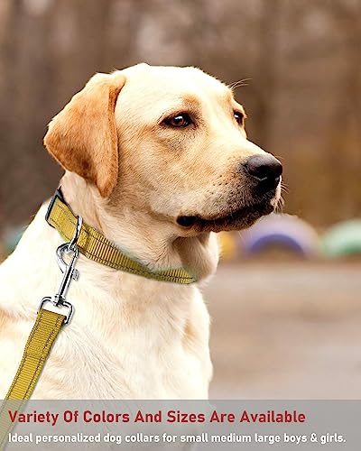 Reflective Dog Collar with Buckle Adjustable Safety Nylon Collars for Small Medium Large Dogs, Brown M - color: Brown, size: Medium :Width 3/4",Neck 12-18"
