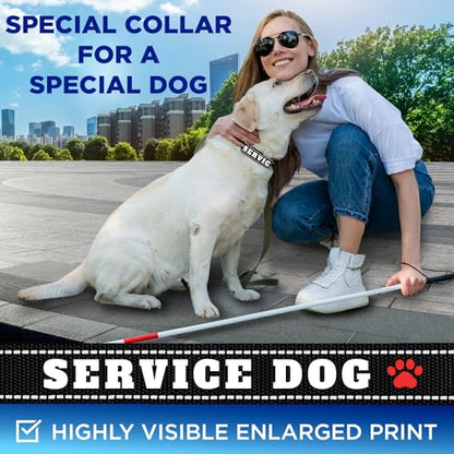 TECEUM Reflective Pet Collar – Black - Service Dog – M – Extra Soft Padding – Basic Nylon Dog Collar – Quick Release Buckle – Fits Small, Medium and Large Dogs, Puppies, Cats - color: Black - Service Dog, size: Medium