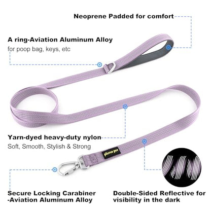 Plutus Pet Heavy Duty Dog Leash with Lockable Aluminum Carabiner, 4/6 Feet Long, Double-Sided Reflective Nylon, Padded Handle, for Puppy, Small, Medium and Large Dogs (Lilac Purple, 4/5" x 4') - color: Lilac Purple, size: 4/5" x 4'