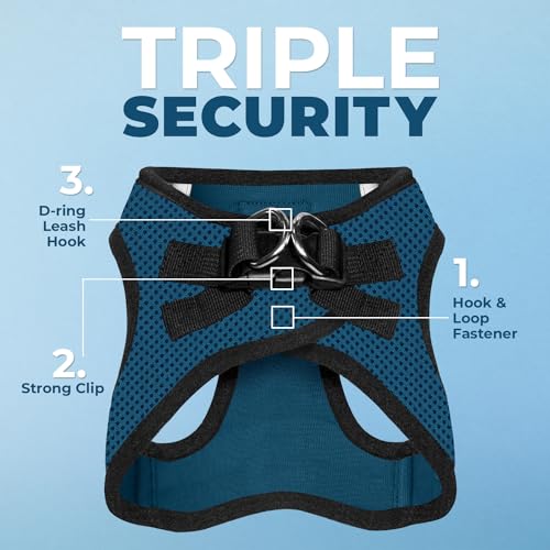 Best Pet Supplies Voyager Step-in Air All Weather Mesh Harness and Reflective Dog 5ft Leash Combo with Neoprene Handle, for Small, Medium and Large Breed Puppies - Set (Blue/Black Trim), Small - color: Harness Leash Bundle (Blue/Black Trim), size: S (Ches