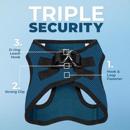 Best Pet Supplies Voyager Step-in Air All Weather Mesh Harness and Reflective Dog 5ft Leash Combo with Neoprene Handle, for Small, Medium and Large Breed Puppies - Set (Blue/Black Trim), X-Small - color: Harness Leash Bundle (Blue/Black Trim), size: XS (C