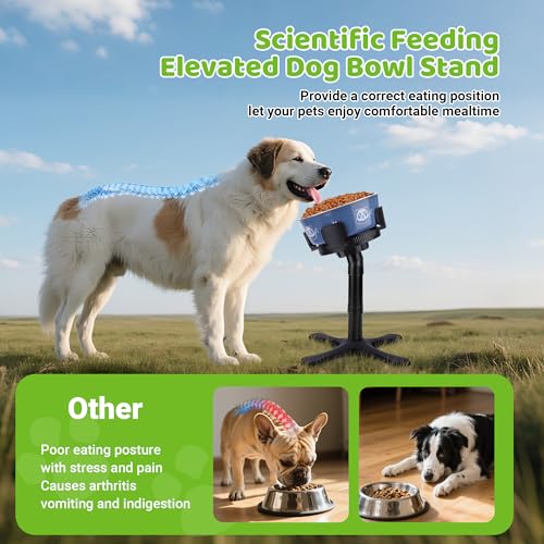 Dog Bowls Elevated Adjustable Stand, Raised Bowl with 3 Heights & Tilted Feeding Stand, Compatible with Various Bowls, for Medium & Large Breeds (1 Pack) Black - size: Dog Bowl Stand 1 Pack Black