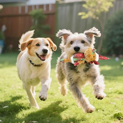 Christmas Dog Toy Squeaky Interactive Dog Toys Puppy Teething Chew Toy Deer Shape Stuffed PP Cotton Crinkle Sound Paper Tail, for Large Medium Small Breeds， Indoor Outdoor Play