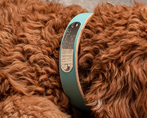 Handmade Personalized Bridle Leather Dog Collar, Engraved Stainless Steel Nameplate (Robin's Egg Blue) - color: Robin's Egg Blue