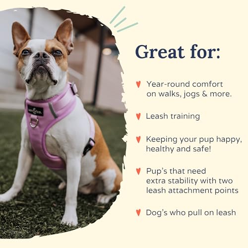 Lucy & Co. The Bouquet No-Pull Dog Harness - Size Small - Vest to Stop Pulling & Walk Easy - Comfortable Leash Training Product w/Adjustable Chest & Neck Straps - color: The Buquet No-Pull Harness, size: Small