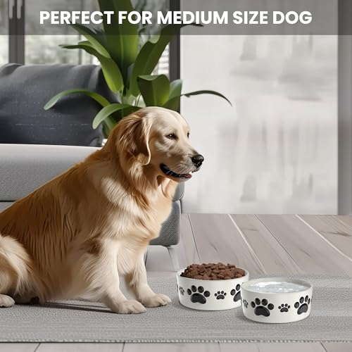 Ceramic Dog Bowls for Medium Size Dogs - 6.5'' Round × 2.5 Tall Dog Food & Water Bowl Set of 2 - Medium Ceramic Bowl with Anti-Slip Rings - Food and Water Bowls with 3 Cups Capacity - size: 6.5in