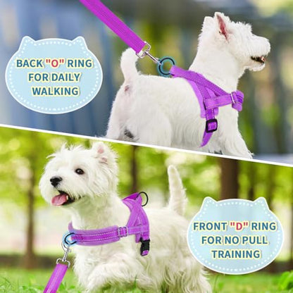 Lukovee No Pull Dog Harness and Leash Set, Soft Padded Small Dog Harness, Neck & Chest Adjustable Reflective Vest Puppy Harness with 4ft Lightweight Anti-Twist Dog Leash for Small Dogs (XS, Purple) - color: A-Purple, size: XS ( Chest 14'' ~ 18'')