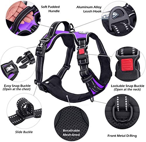 PoyPet No Pull Dog Harness, No Choke Front Lead Dog Reflective Harness, Adjustable Soft Padded Pet Vest with Easy Control Handle for Small to Large Dogs(Purple,XS) - color: Purple, size: XS